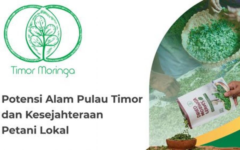 Menjadi Tuan Rumah yang Berdaya di Negeri Sendiri